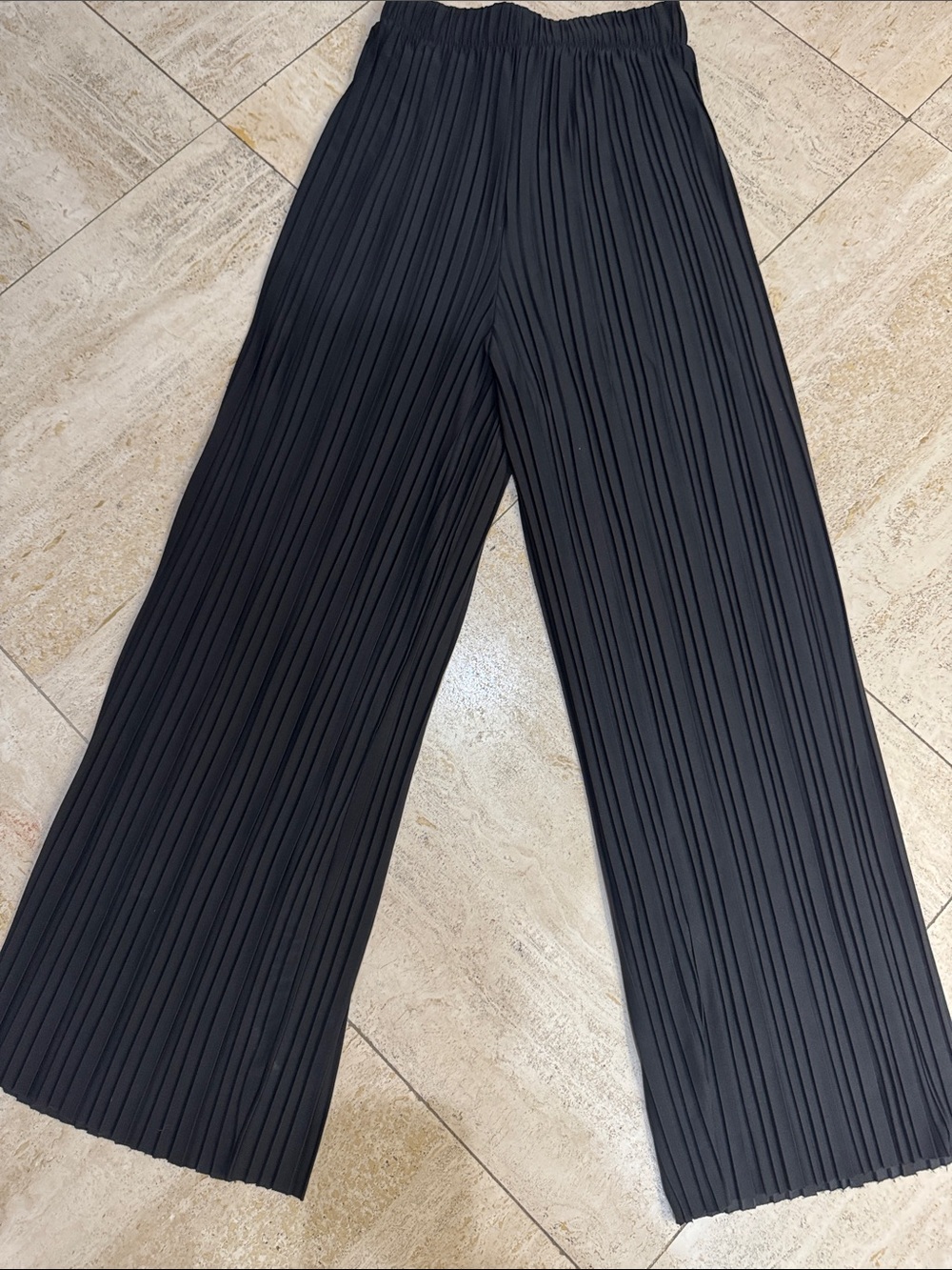 Black Pleated Wide-Leg Dressy Pants